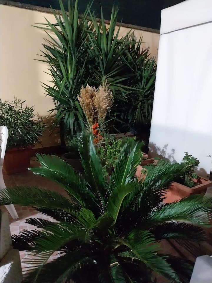 Il Giardino Di Marimar Appartement Buitenkant foto